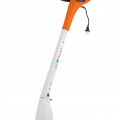 FSE 31