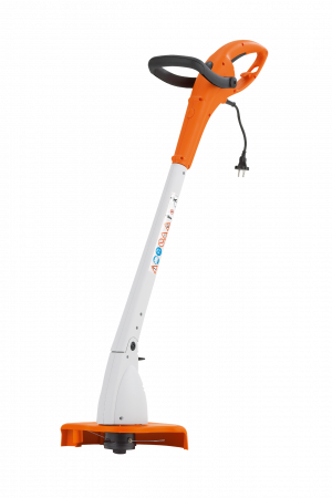 FSE 31