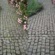 3d5cc726643e98f81b124350db985a55